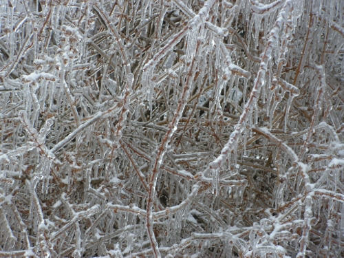 Frozen Frozen